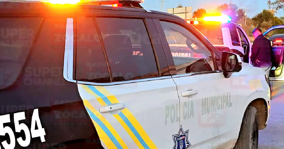 Ante la resistencia, el agresor atacó al joven, golpeándolo en la cabeza y las piernas