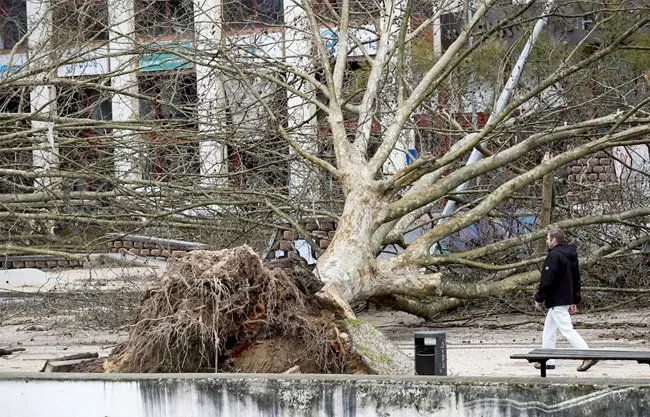Portugal decreta la situación de calamidad en las zonas más afectadas por el temporal