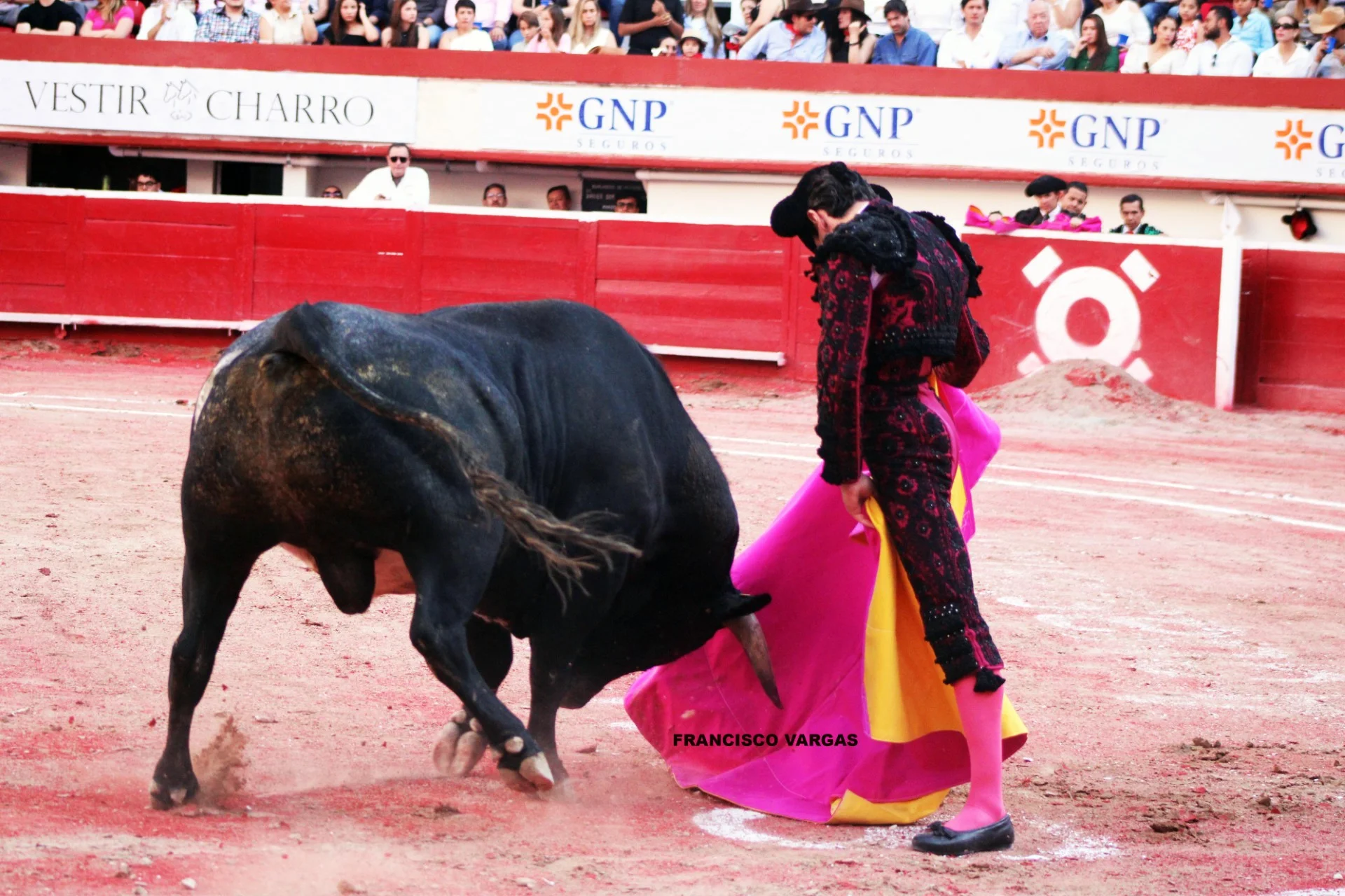 Aumenta el número de festejos para la Jornada Taurina de esta Semana