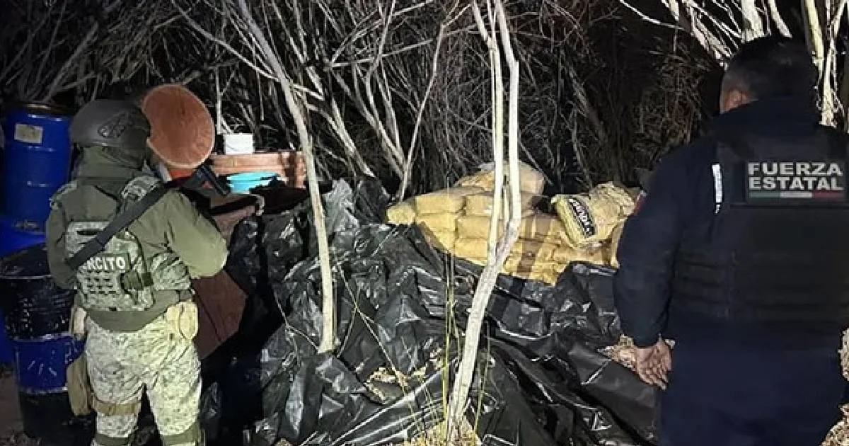 Autoridades de BC localizan y desmantelan narcolaboratorio en el puerto de Ensenada