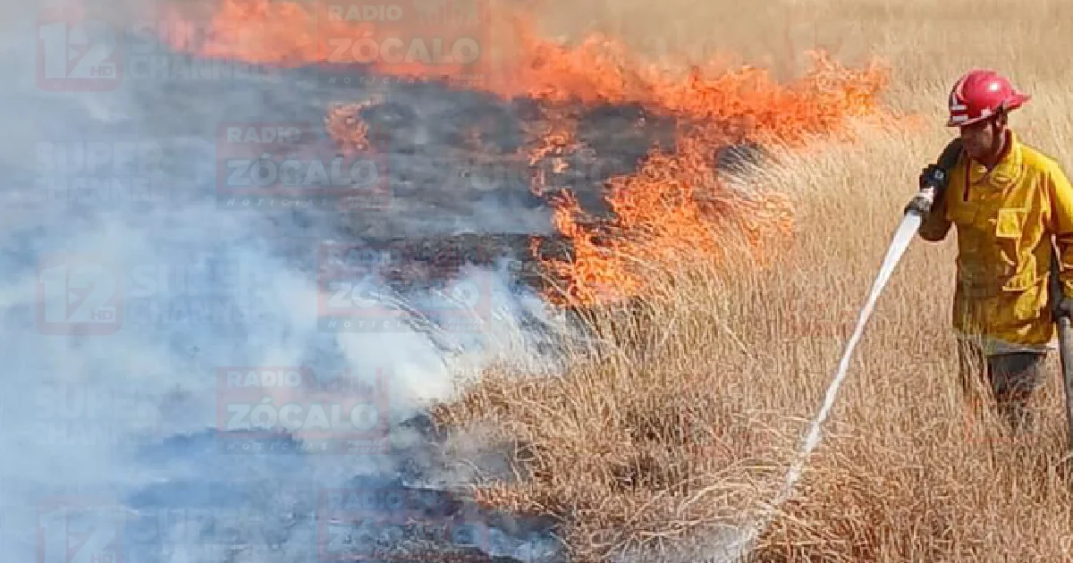 Sofocan bomberos incendio de zacatal en Múzquiz