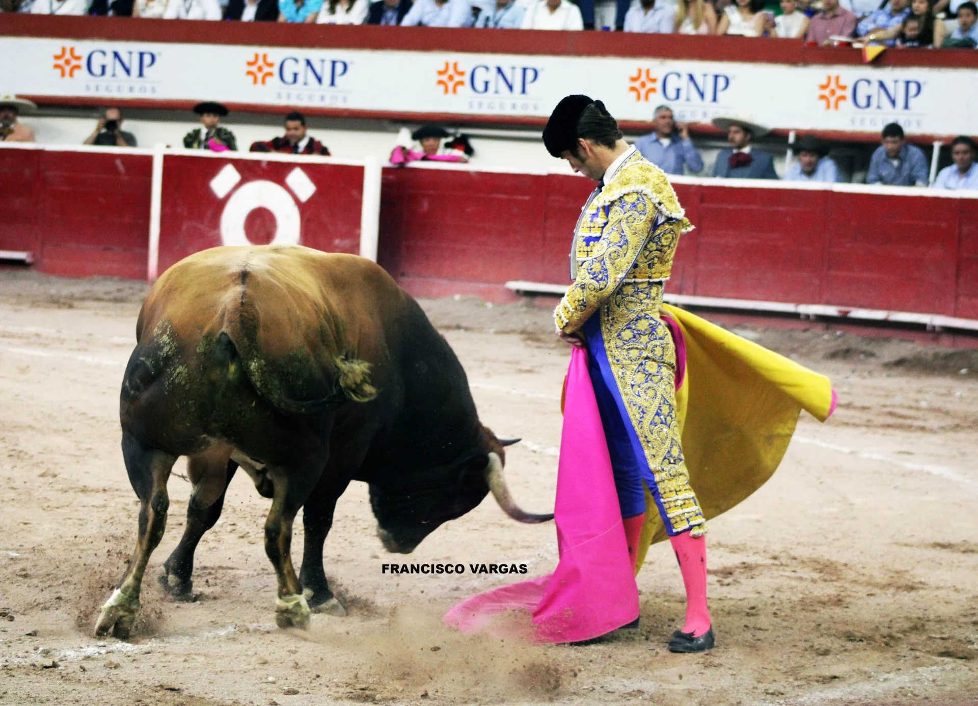 Disminuye la Jornada Taurina para esta Semana