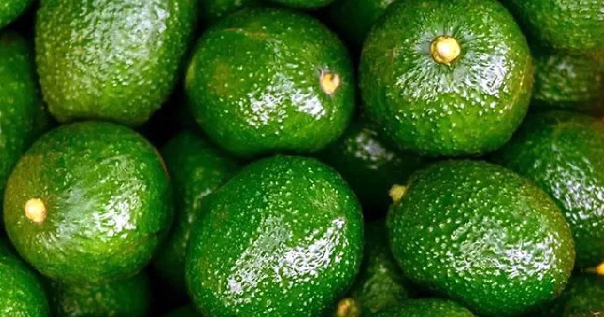 Super Bowl dispara guacamole en EU, mientras aguacate en México sufre extorsión criminal