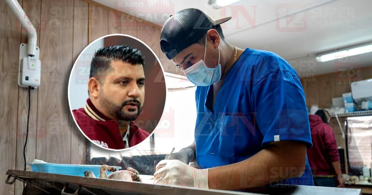 Bienestar Animal implementará esterilizaciones fijas por colonias; la primera jornada será en Praderas de 15 días a tres semanas.