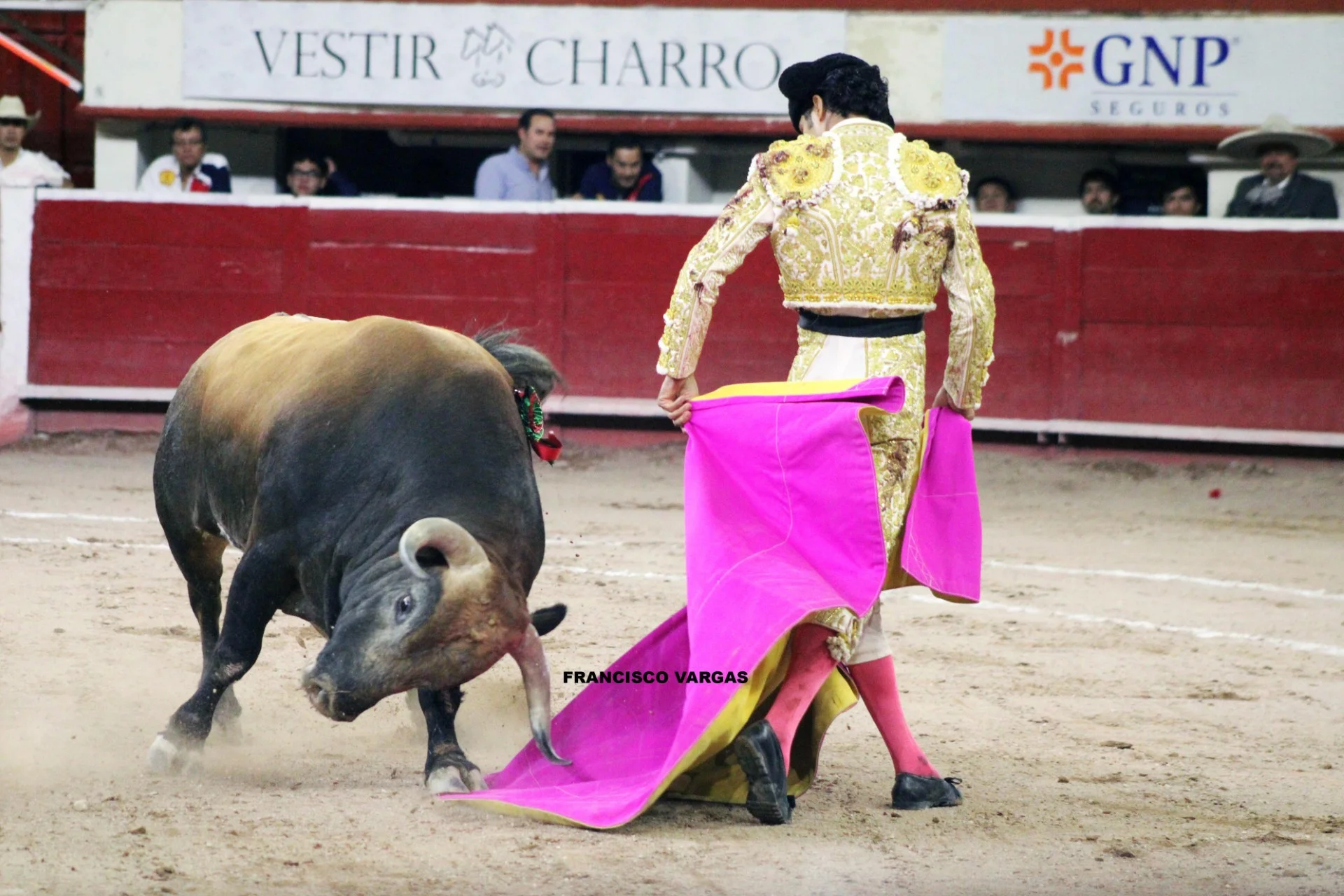 Se tienen programados 16 de ellos