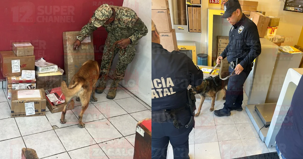 Policía y agentes caninos inspeccionan envíos en Correos
