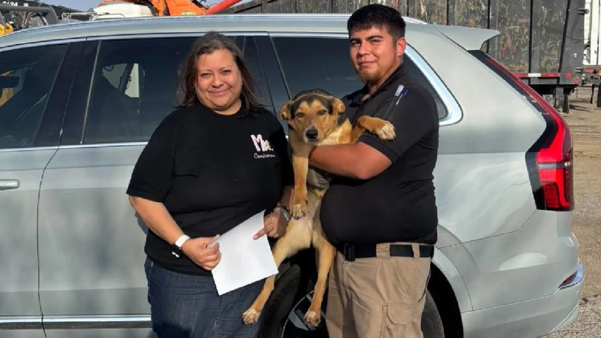 División de Control de Animales mantiene jornadas de adopción