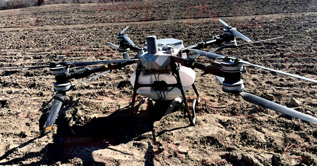 El titular de la dependencia, Arnoldo Guajardo, explicó que se habilitó una parcela dentro de un terreno de 4 hectáreas