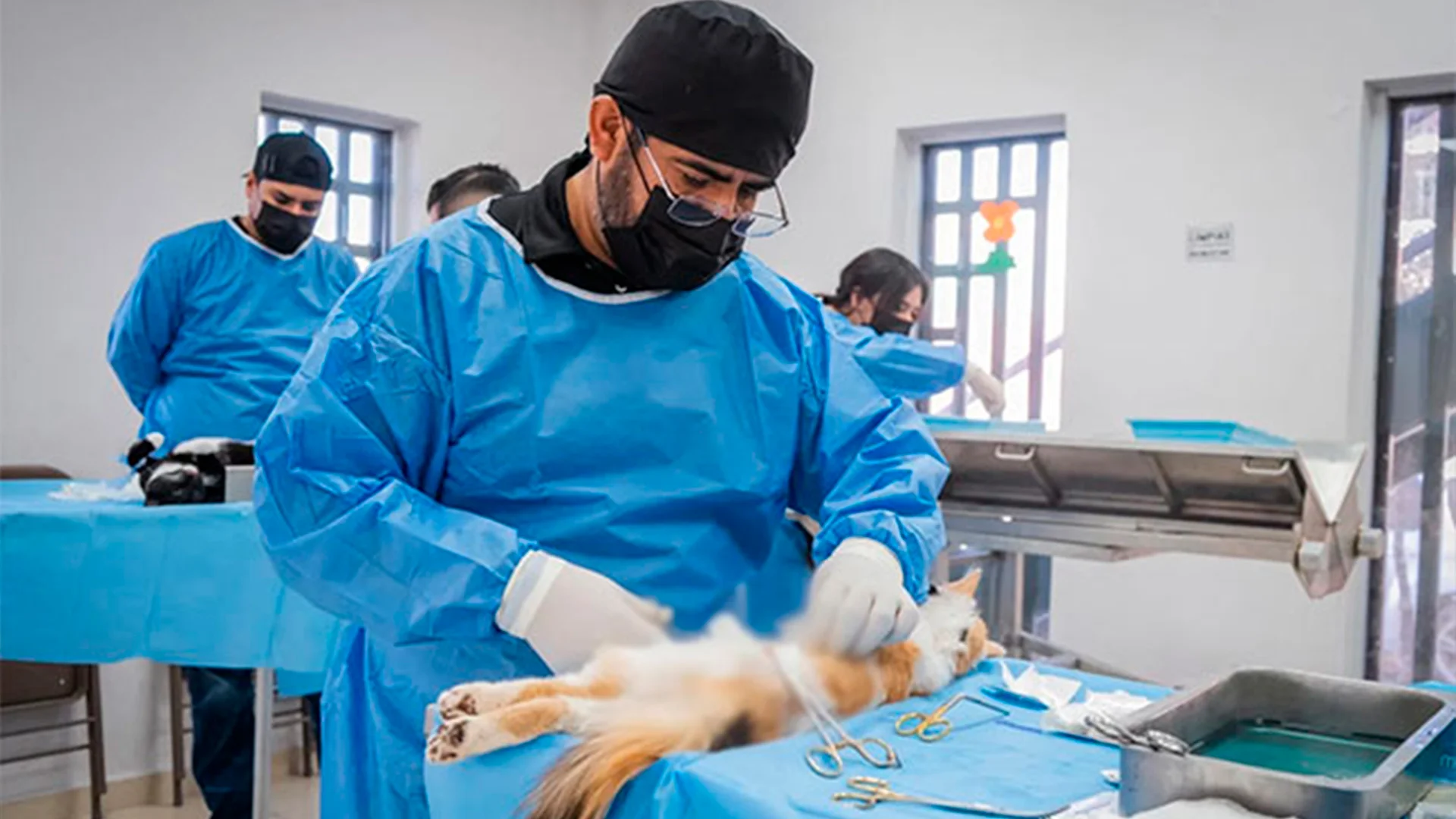 El director de Imagen Urbana y Ecología, Alexis González, informó que la campaña arrancó el 24 de febrero.