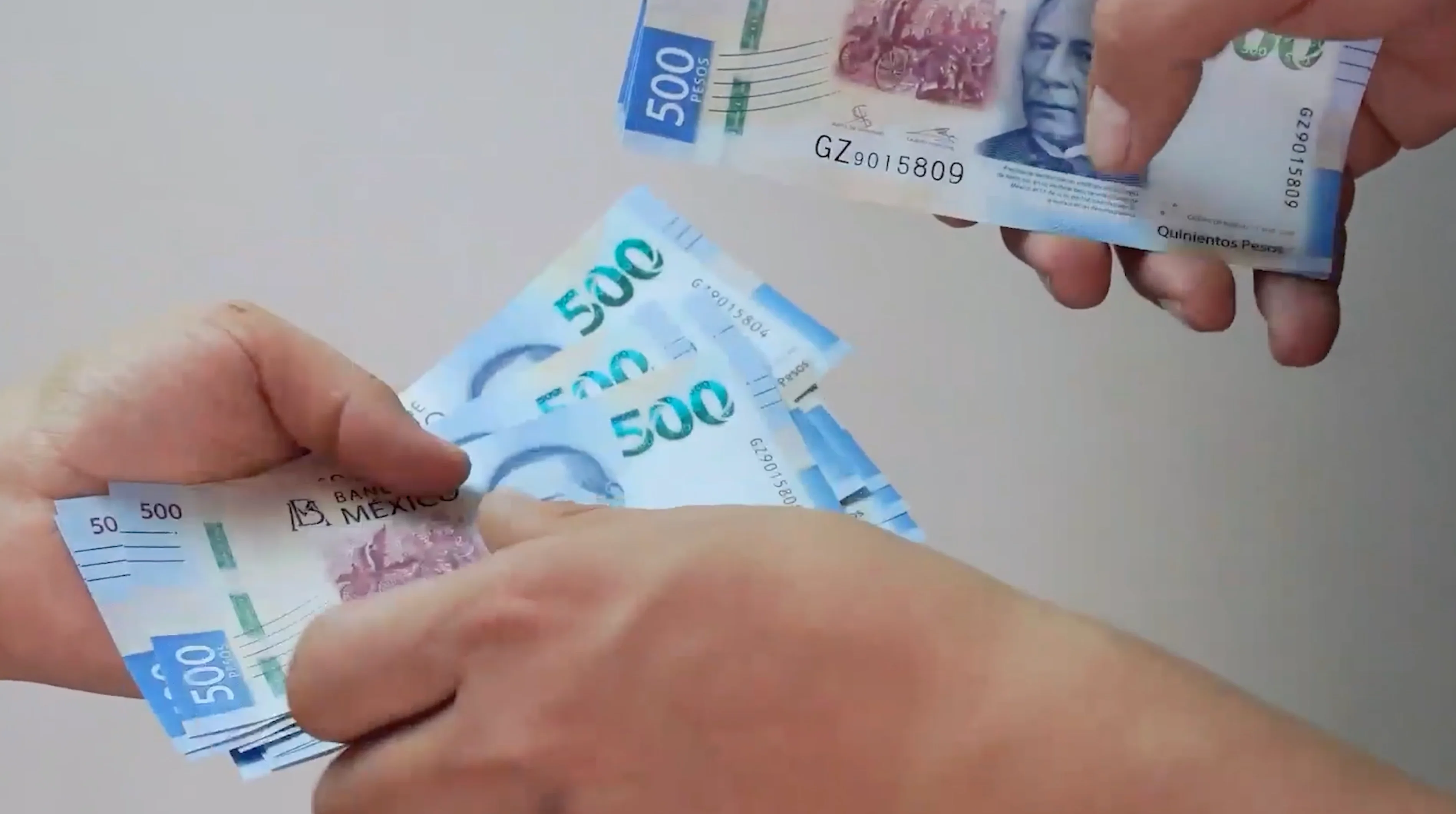 La Asesora Legal del Ayuntamiento, Ariana Denise García del Bosque, detalló que de dicha cifra, 600 mil pesos corresponden a la asesoría en un delito de homicidio culposo