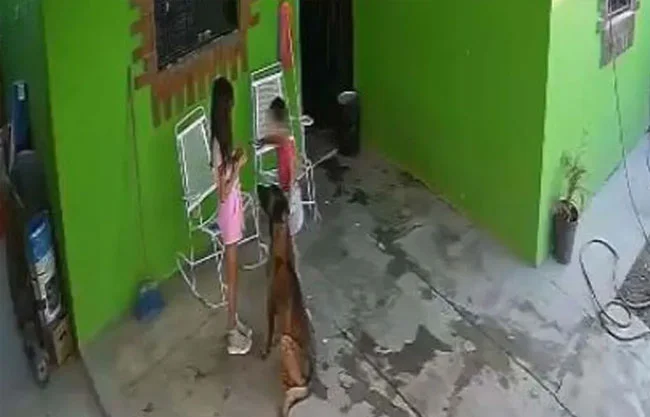 Niña es operada de emergencia tras brutal ataque de perro en Coahuila