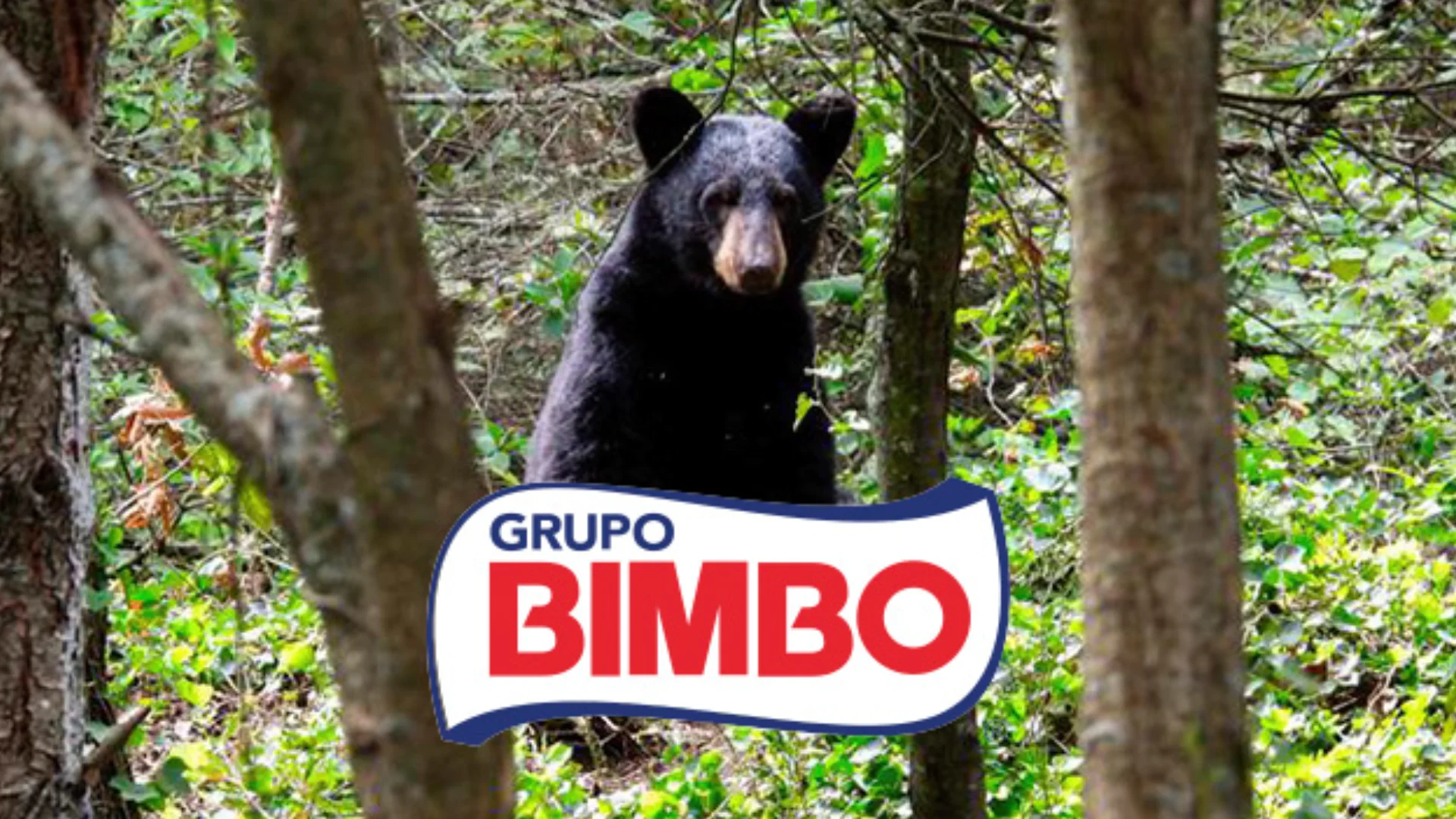 Son prioritarios también la educación y concientización en comunidades donde la vida humana