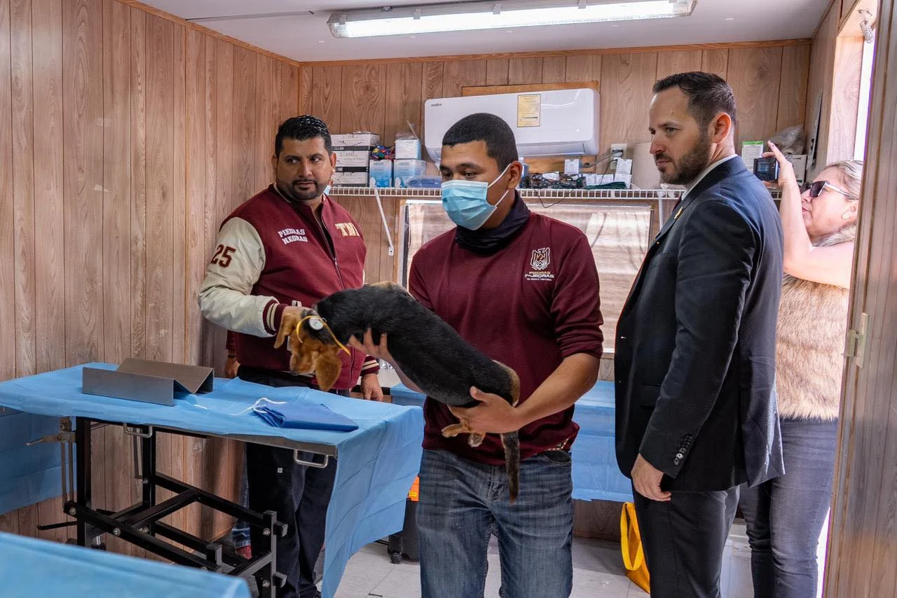 La gran mayoría de las esterilizaciones se han practicado a perros que tienen dueño, cerca de 30 han sido a canes que deambulaban por el área y sin hogar permanente, lo que permitirá reducir la reproducción.