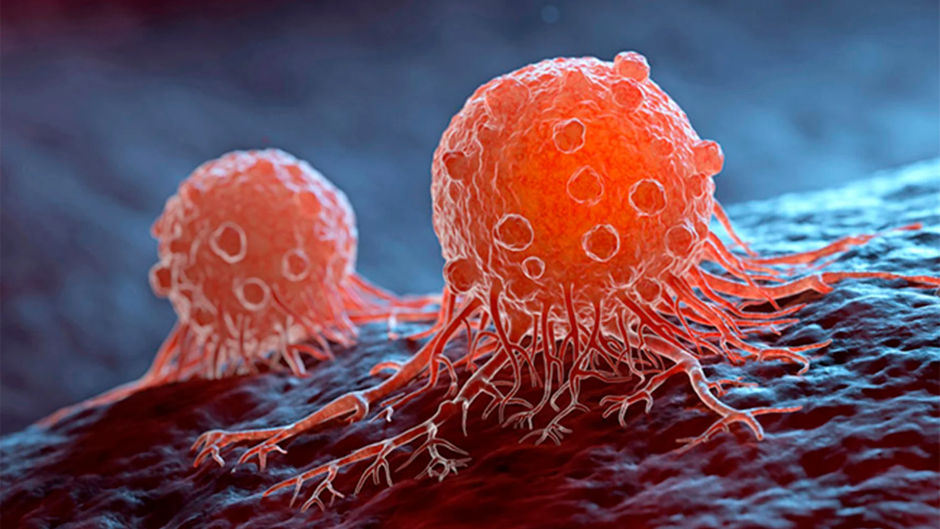 CIA desata polémica por clasificar durante más de 60 años un artículo ruso sobre el cáncer