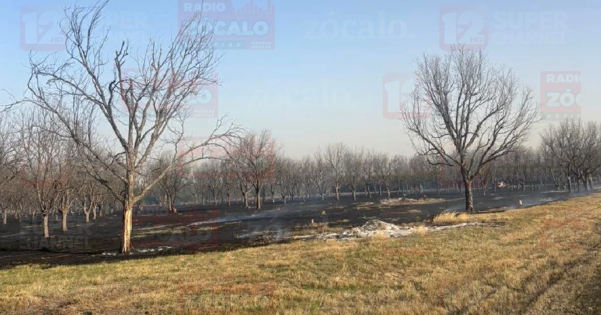 Acuden 4 máquinas apagadoras de Bomberos para controlar la situación ante vientos fuertes que provocaban rápido avance del fuego.