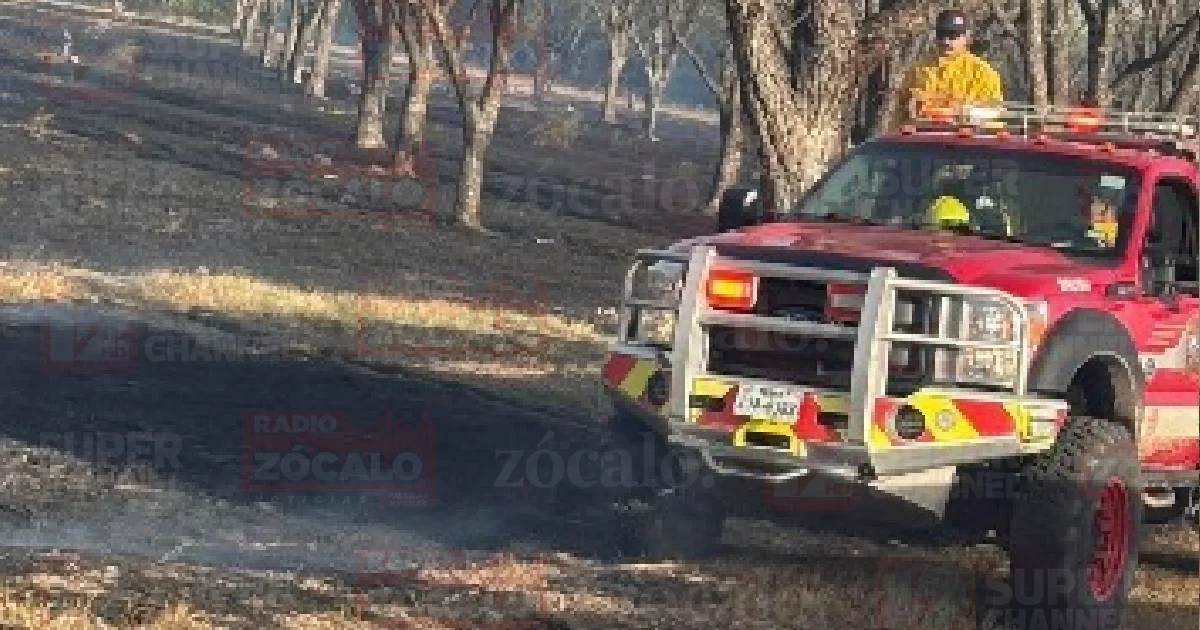 Incendio en nogalera pudo ser intencional