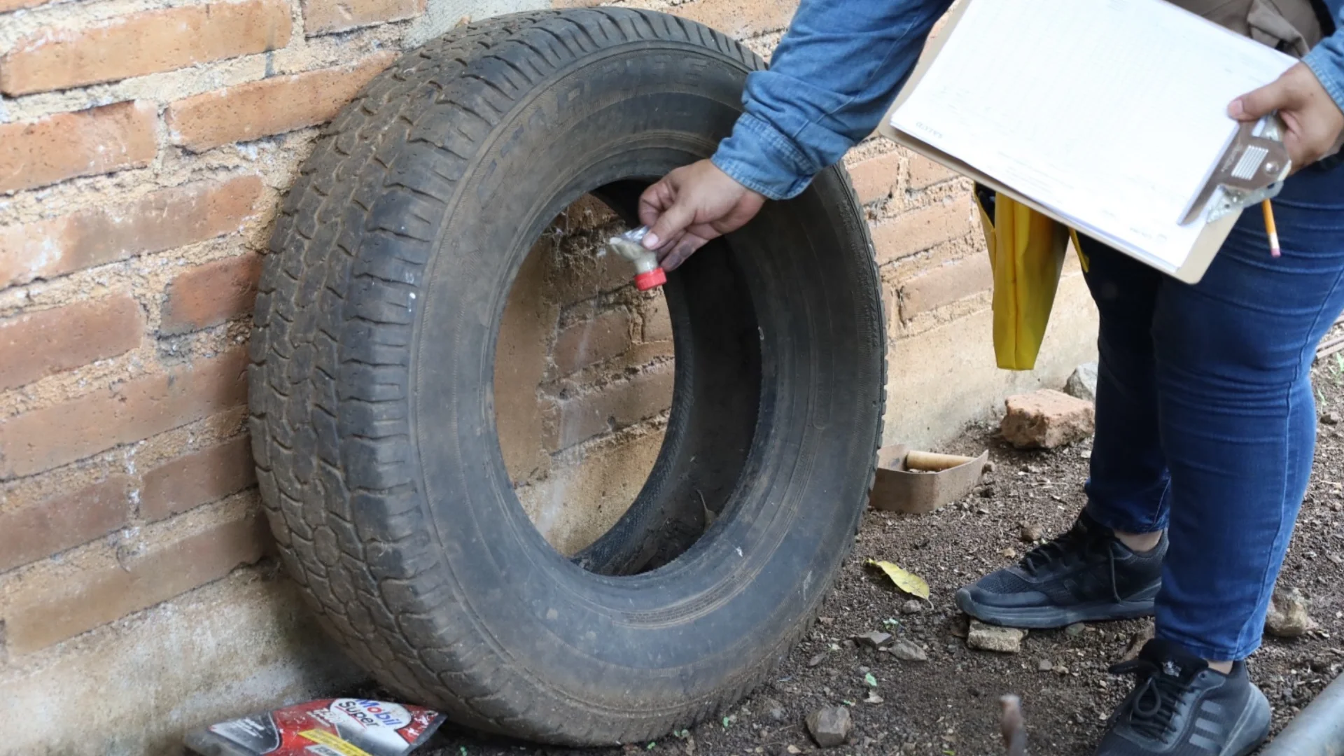 Mantienen vectores visitas a las colonias para control larvario