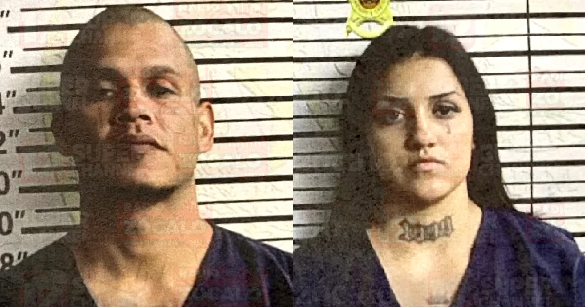 Una unidad K9 alertó sobre la presencia de drogas en el vehículo