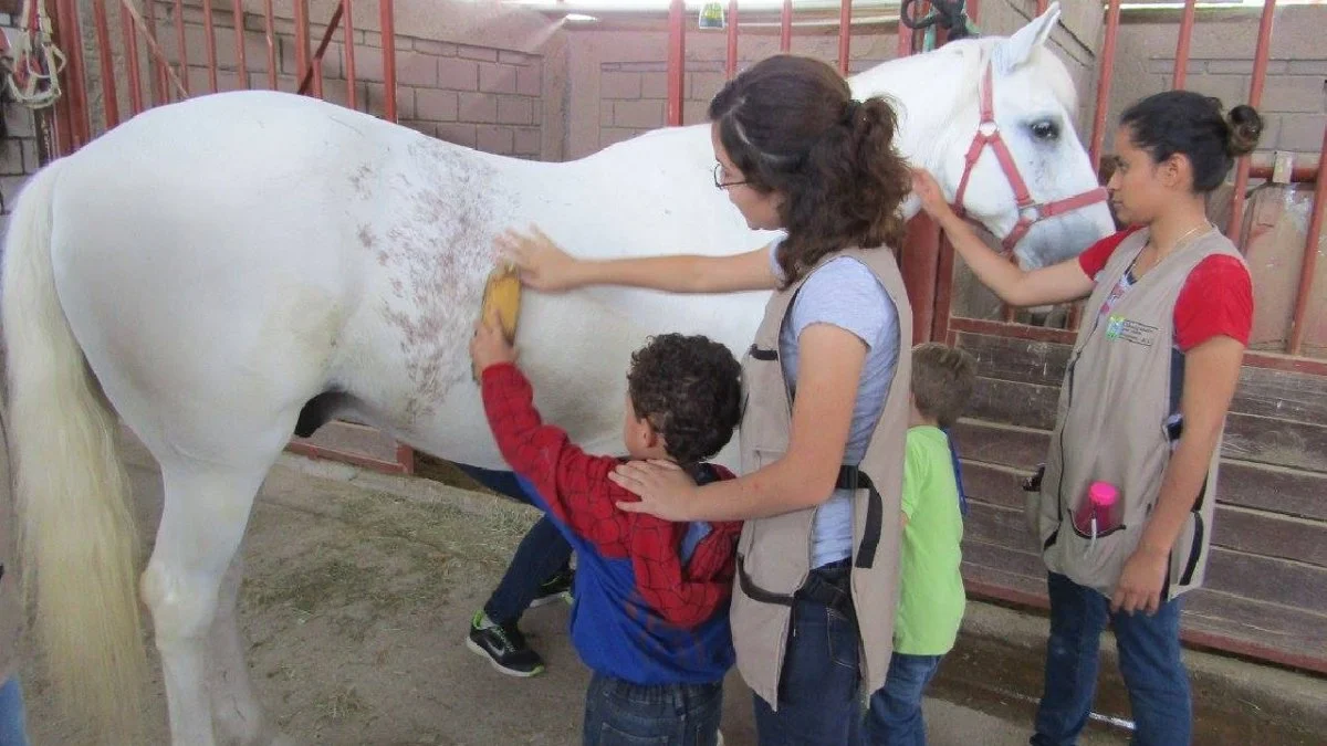 La red municipal de apoyo suma ya 15 organizaciones civiles, informó Sofía Trejo Ramírez, directora de Asuntos Religiosos