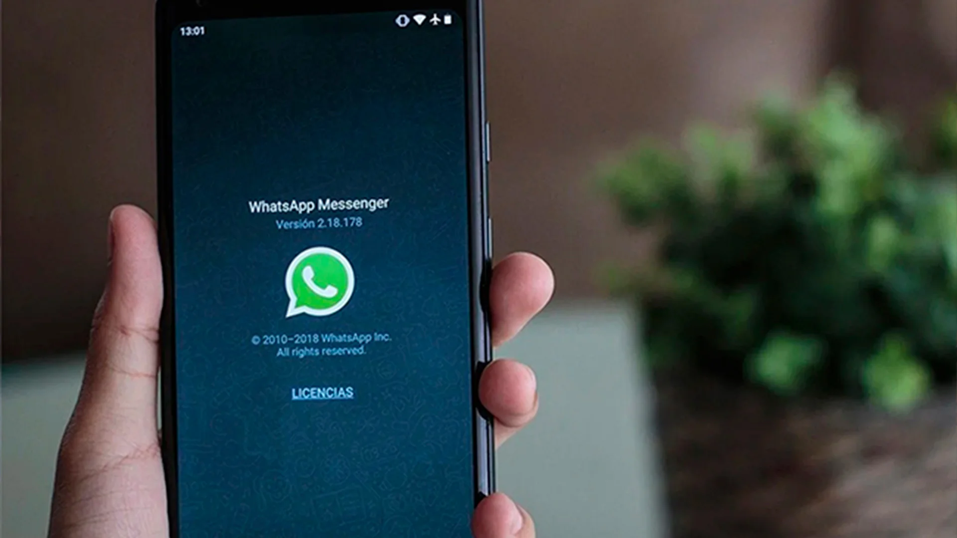WhatsApp tendrá mensajes que se eliminan automáticamente tras ser leídos