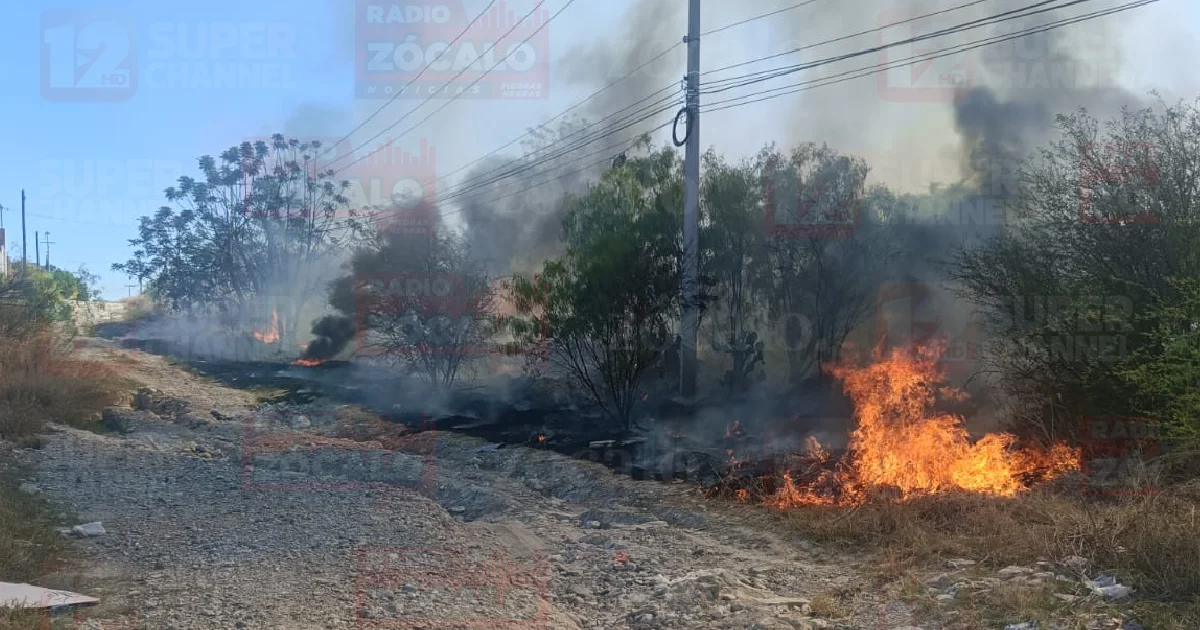 El fuego se propagó rápidamente y requirió de al menos dos apagadoras rápidas de Bomberos quienes con seis elementos atendieron el siniestro