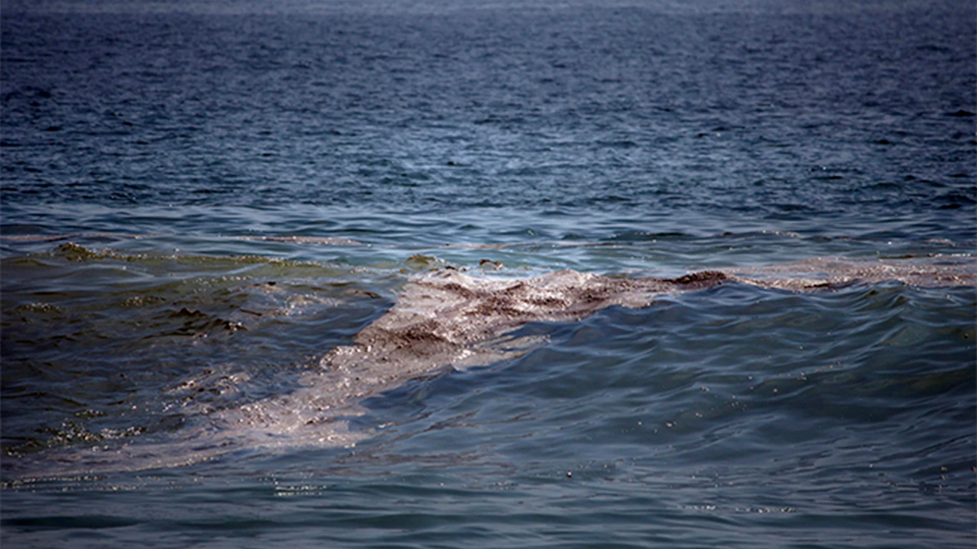 Alertó que las acciones de limpieza se han centrado en playas que tienen un fin turístico, y quedan sin atención aquellas que se encuentran alejadas.