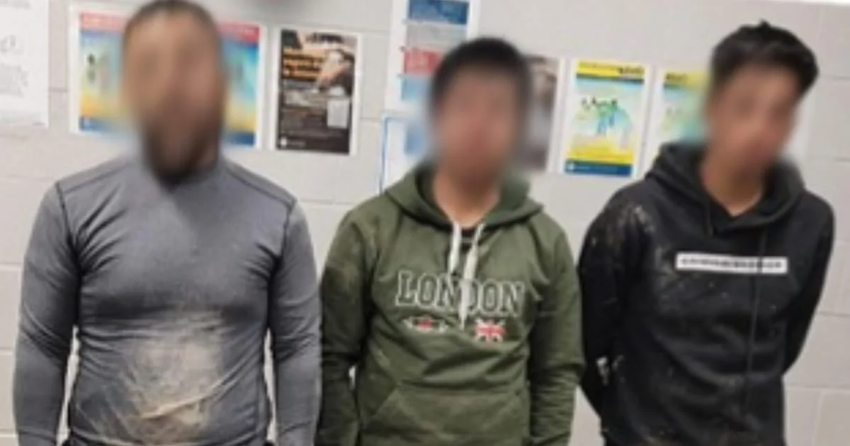 La acción se realizó mediante coordinación entre varias agencias