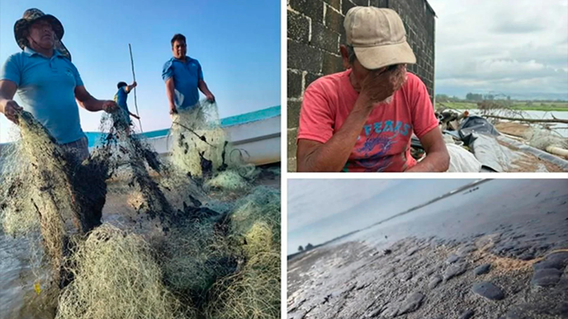 ‘No quieren pescado’: derrame en el Golfo atemoriza a consumidores y deja a pescadores sin ingreso