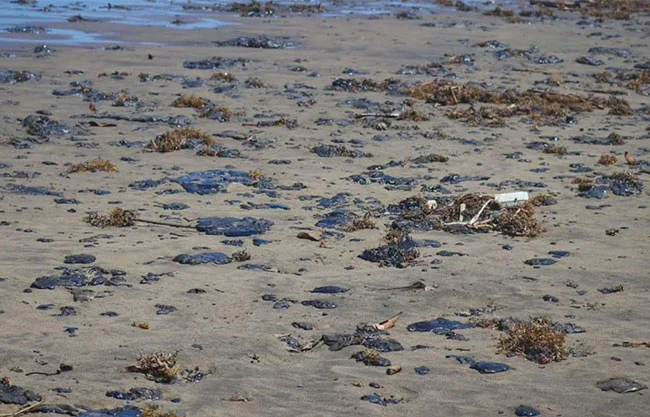 Las zonas más afectadas son Veracruz, Tabasco y Tamaulipas; al menos 785 toneladas se han encontrado en las playas