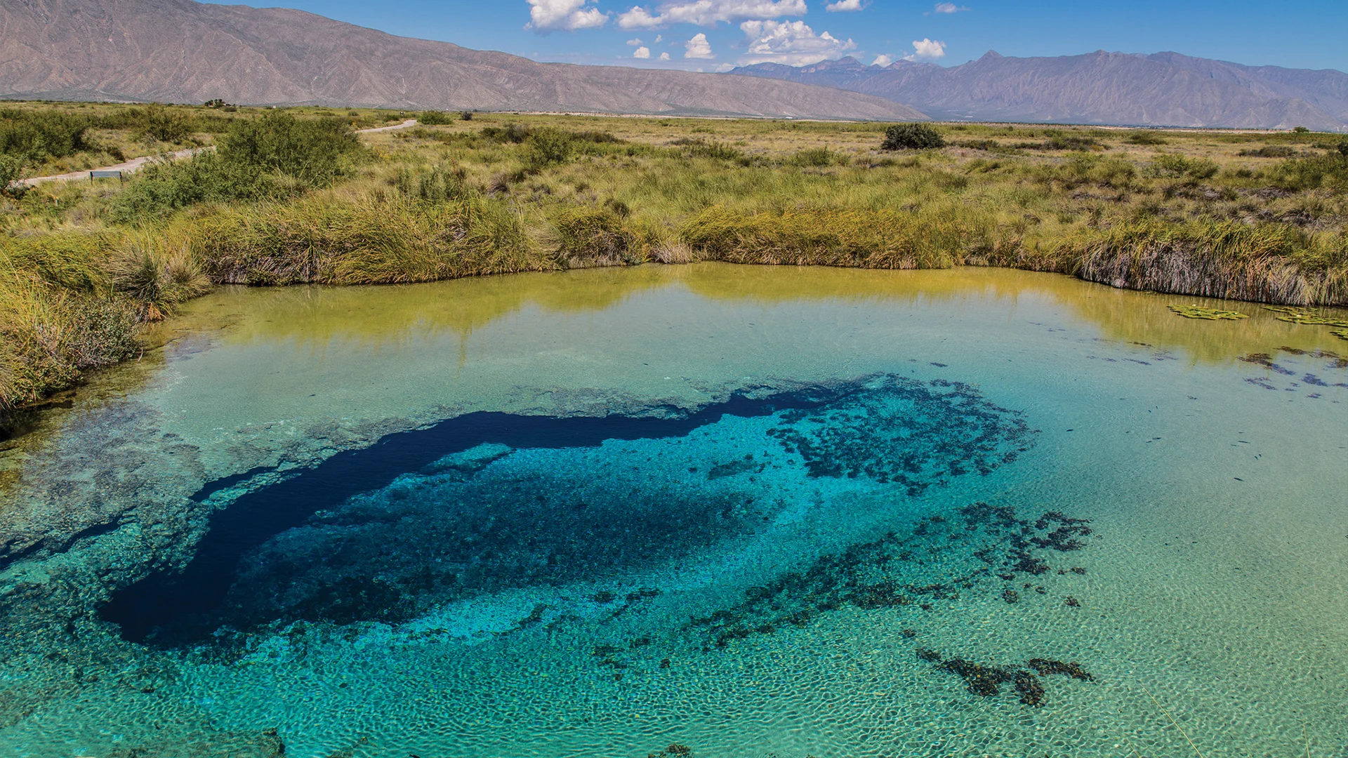 Saturan vacacionistas a hoteles en Ciénegas; ocupación, a tope