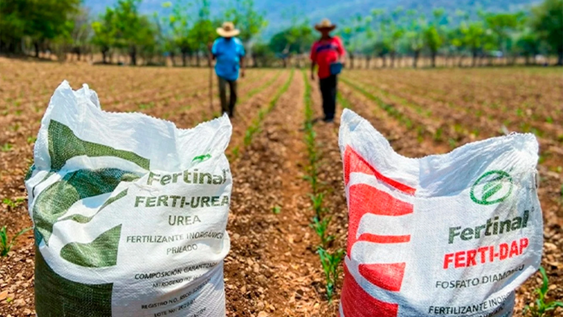 Se disparan precios de los fertilizantes; impacta al campo mexicano