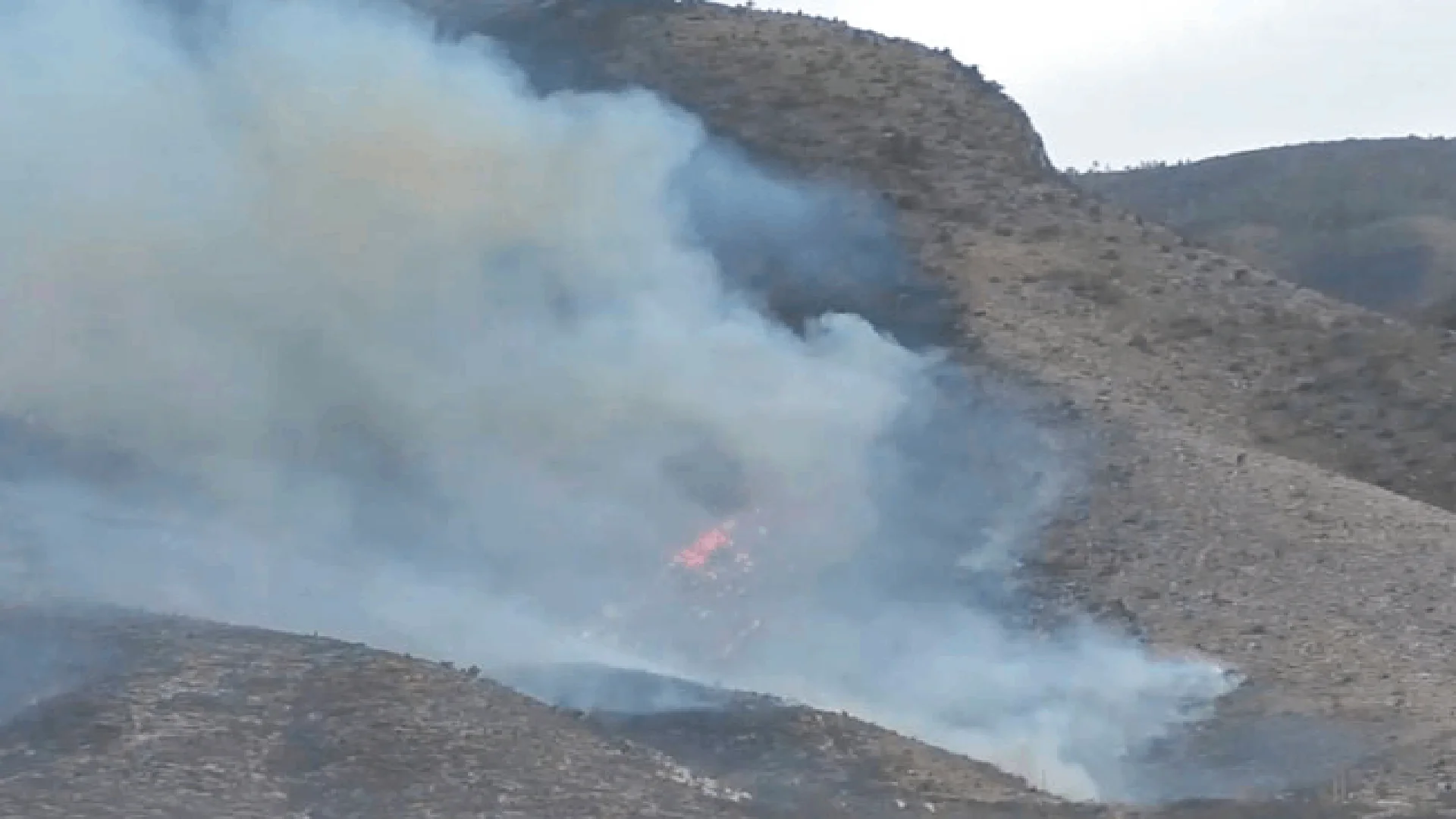 Aunque existen estos grupos en todo el territorio coahuilense, mayormente están en Arteaga, Saltillo, Parras de la Fuente, Sabinas y Múzquiz.