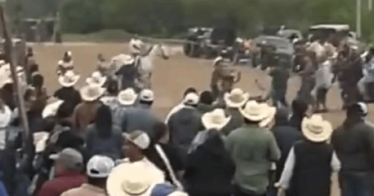 Pánico y miedo por riña campal en carreras de caballos en Zaragoza