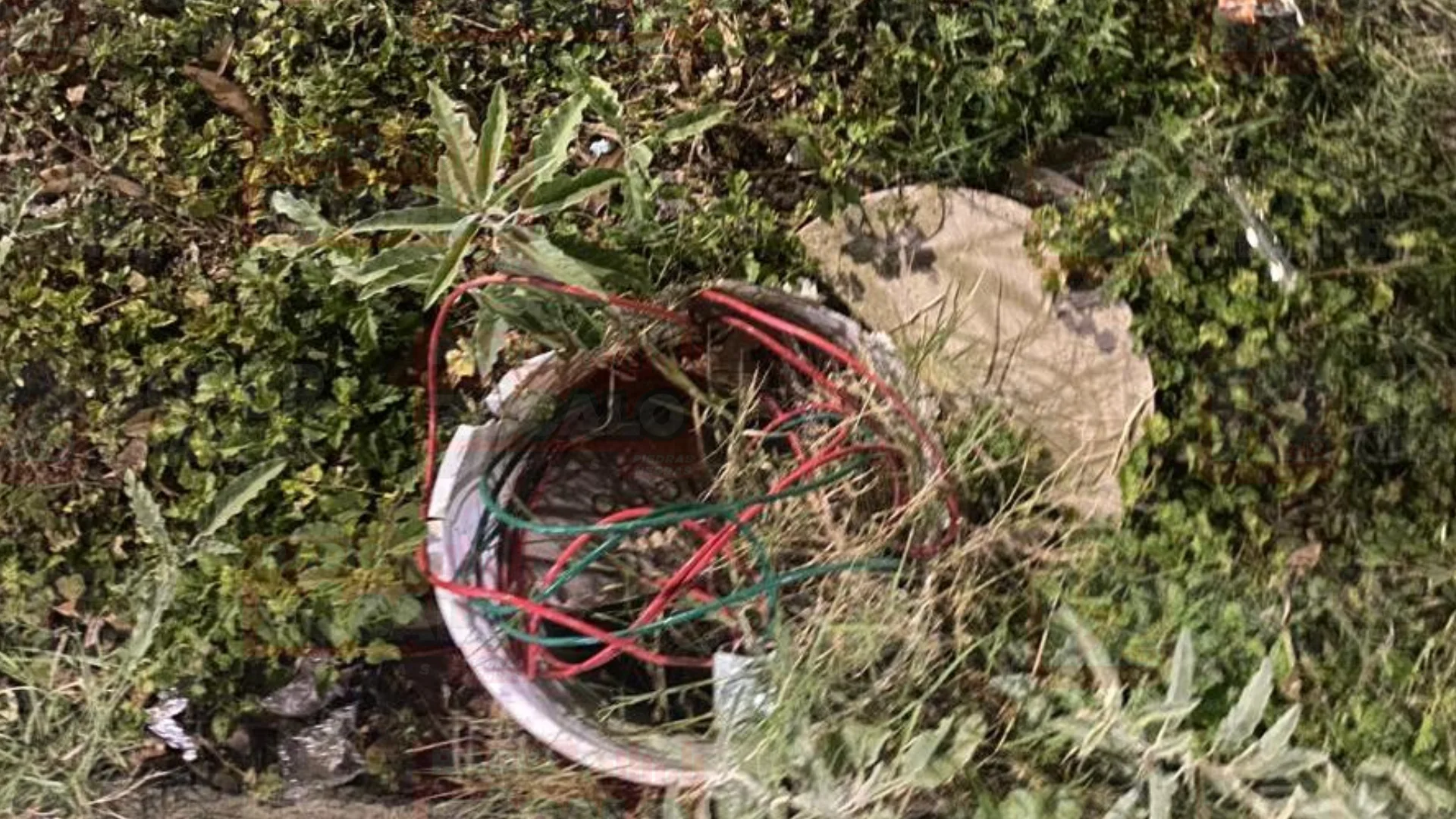 Tras el reporte, elementos de Seguridad Pública implementaron rondines de vigilancia en la zona con el objetivo de prevenir actos de vandalismo o posibles robos.