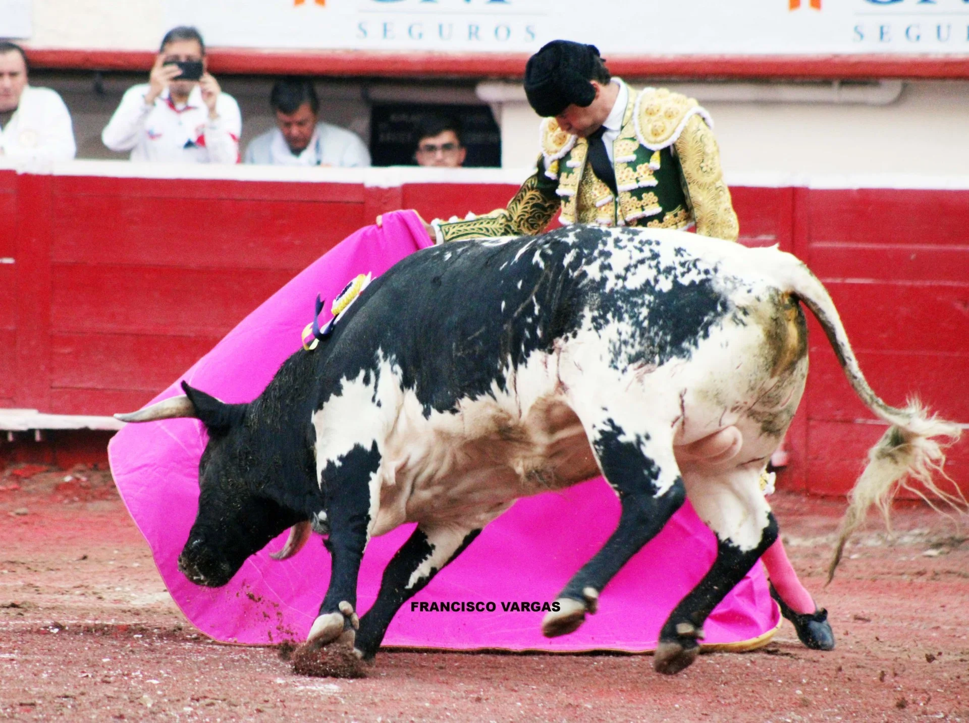 Aumenta la Jornada Taurina para esta Semana