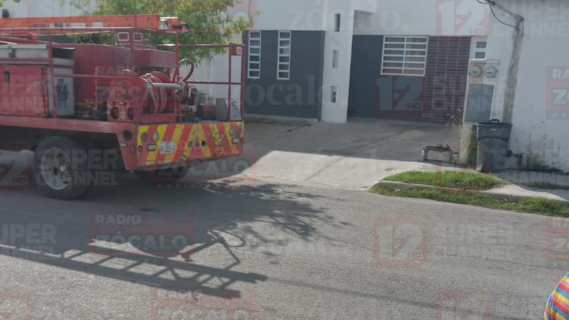 Vecinos alertaron a las autoridades tras detectar una víbora en una camioneta.