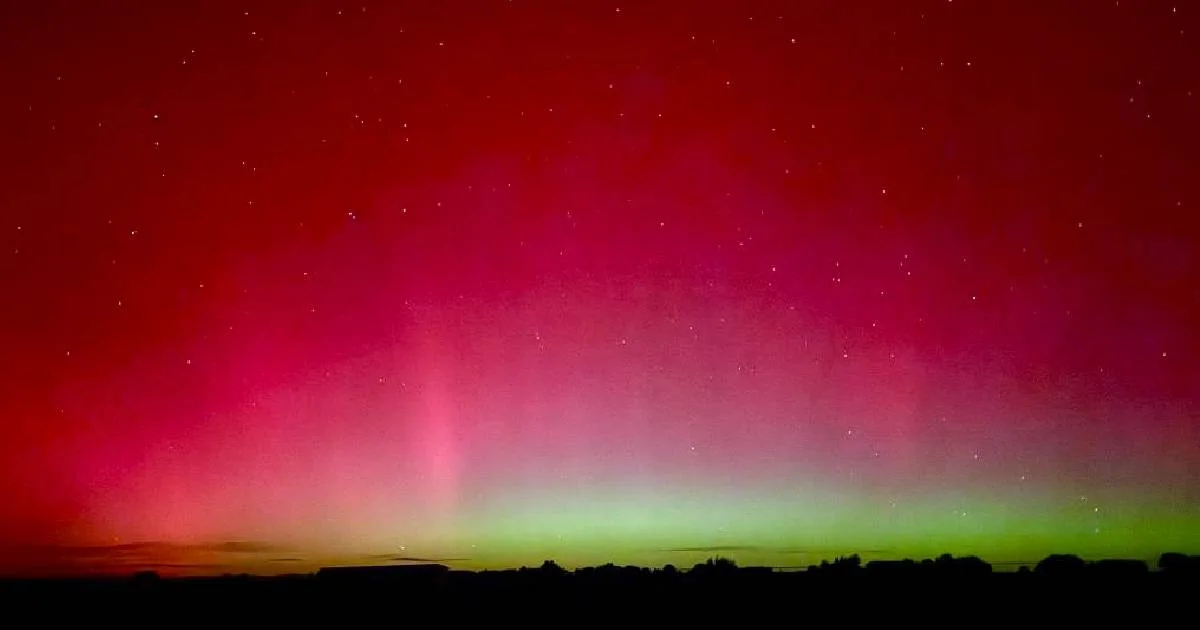 Proyecto nuevo (33).jpg