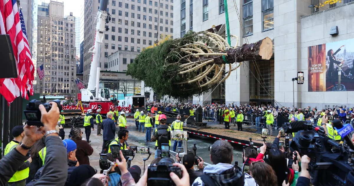 Proyecto nuevo (4).jpg