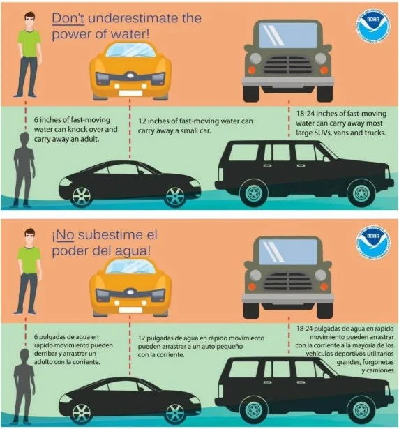 WhatsApp Image 2025-11-18 at 11.39.45 AM.jpeg