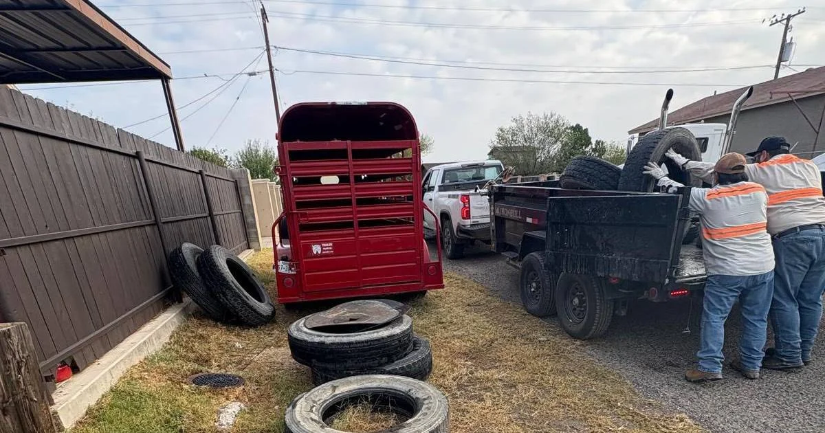 Proyecto nuevo (8).jpg