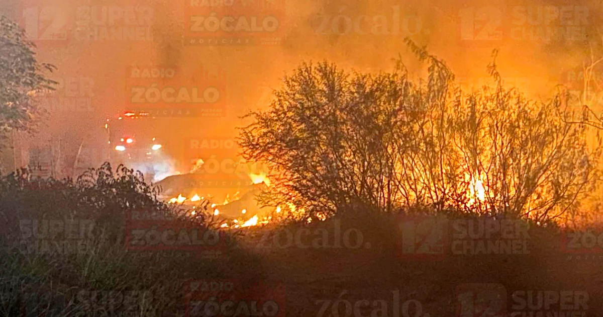 Proyecto nuevo (4).jpg