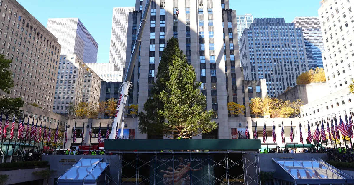 Llega al Rockefeller Center su famoso árbol de Navidad