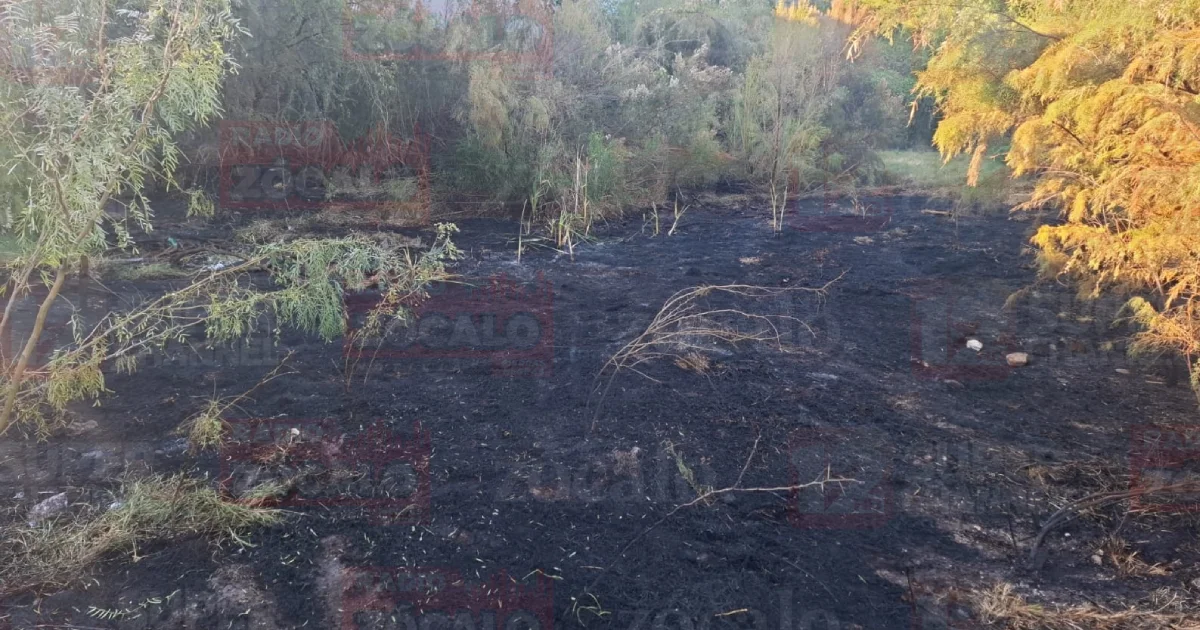 ProyectoIncendio 2.png