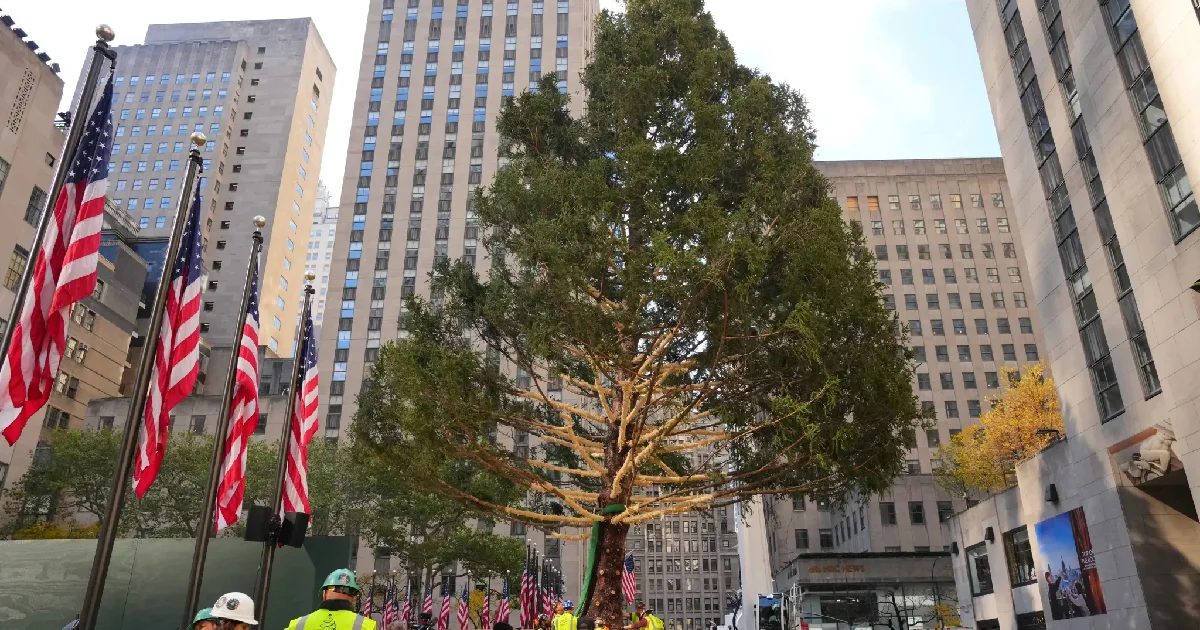 Proyecto nuevo (5).jpg