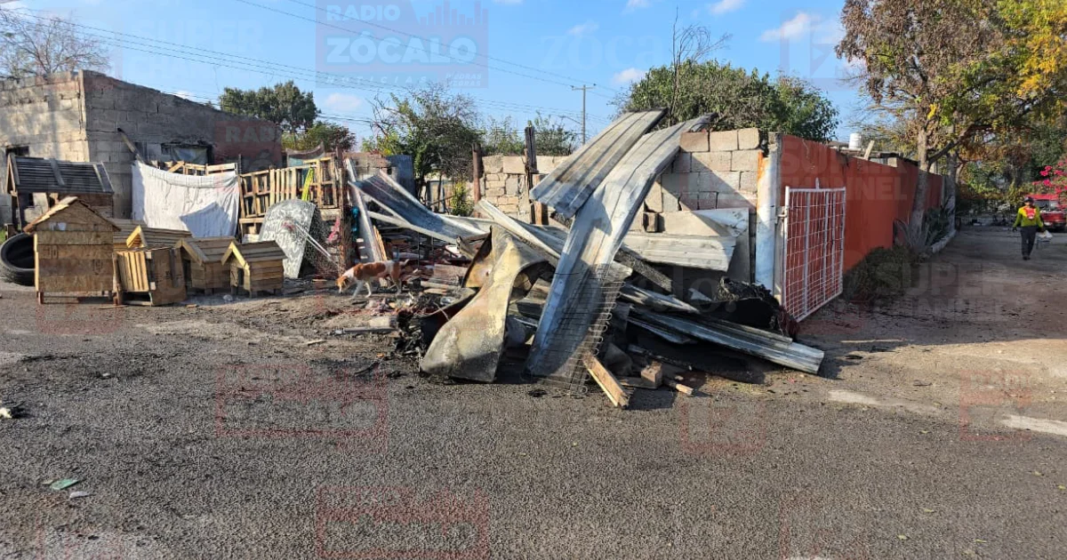 Proyecto nuevo (1).png