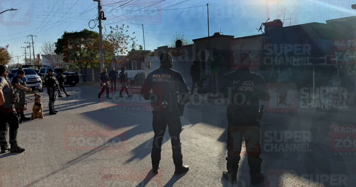 Copia de Proyecto nuevo (3).jpg