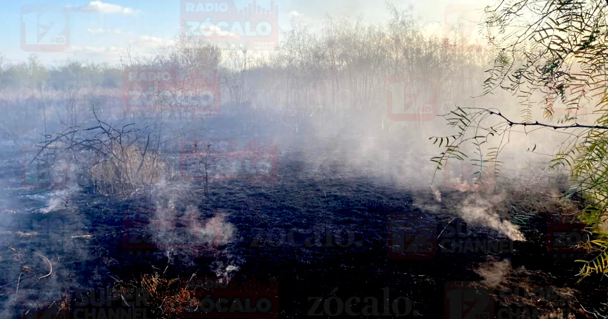 Proyecto nuevo (3).jpg