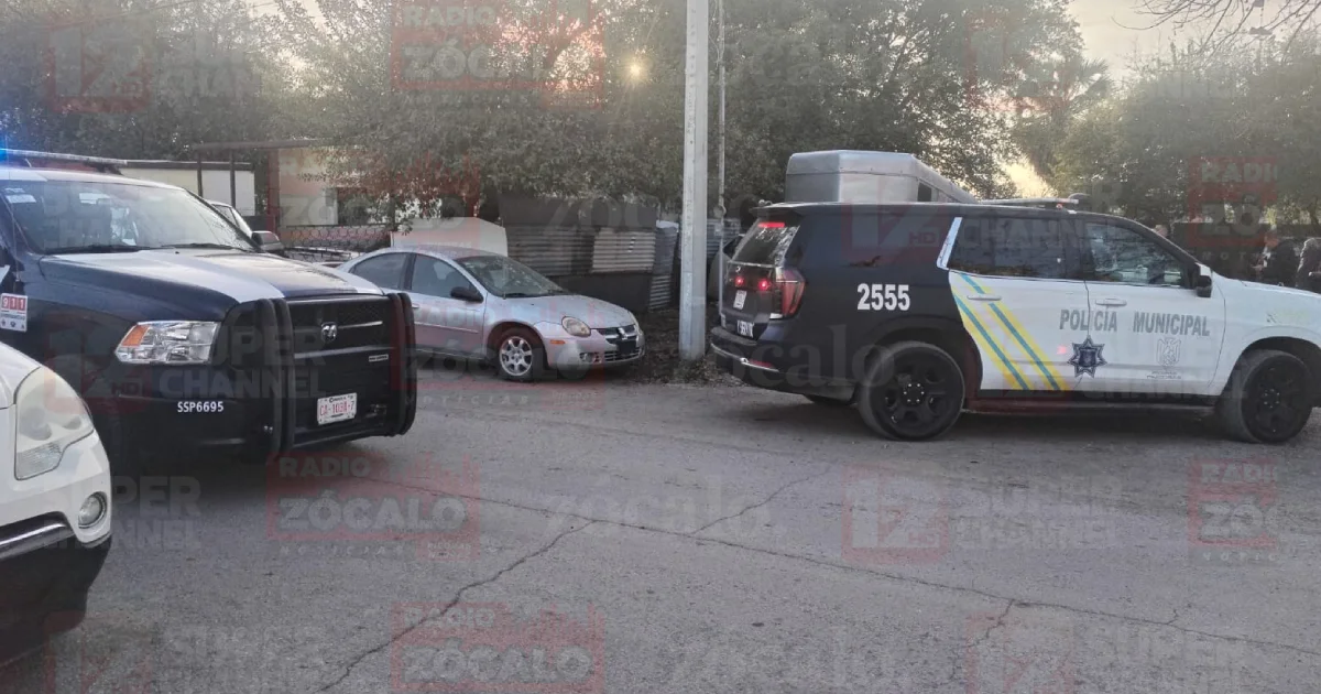 Proyecto nuevo (1).png