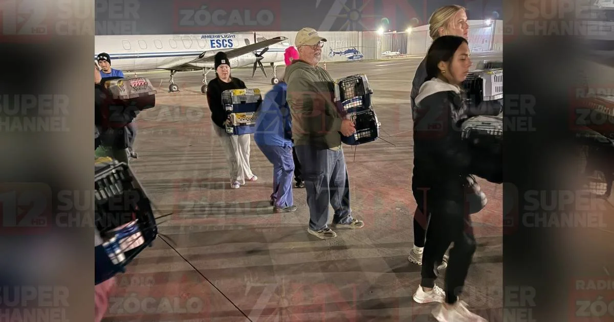 Proyecto nuevo (6).jpg