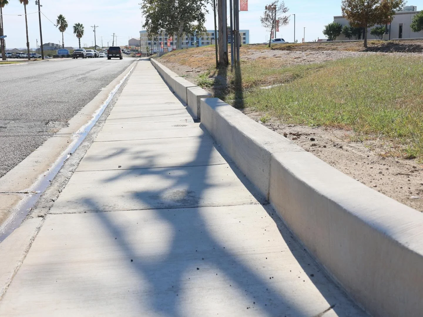 WhatsApp Image 2025-12-12 at 12.03.42 PM.jpeg